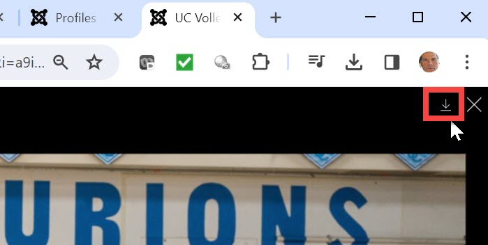 gallery image download button
